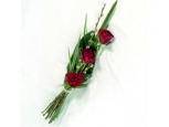 Thoughts of You - 3 Stems Bouquet